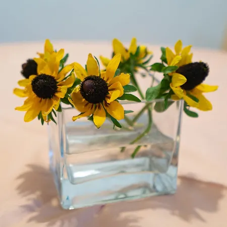 Apartman Nevenka Zadar