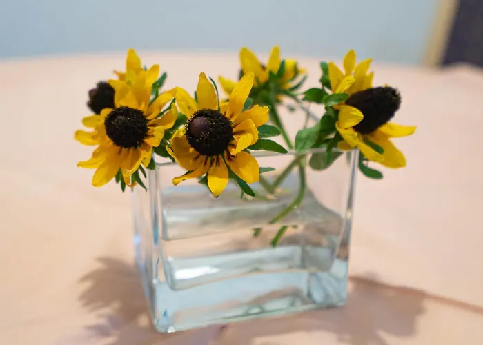 Appartement Nevenka Zadar